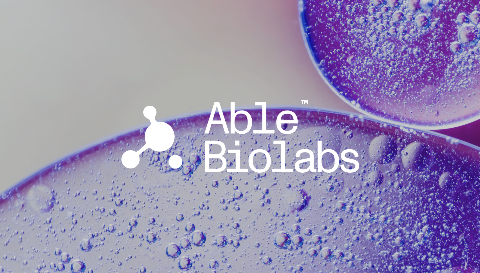 Able Biolabs branding and website design