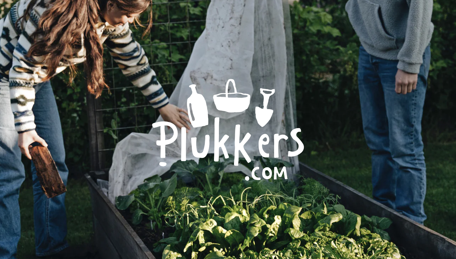 Plukkers email flow and campaign design examples